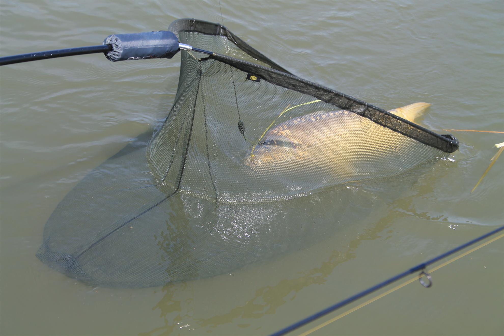 Nagykallo 2013 FedeerTeamUnique - nagykallo-aprilie2013-166.JPG